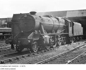 CHA5516