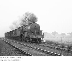 CHA5520