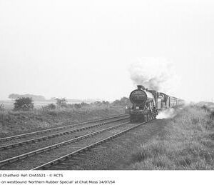 CHA5521