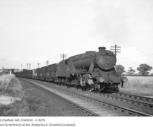 CHA5524