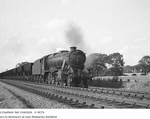 CHA5526