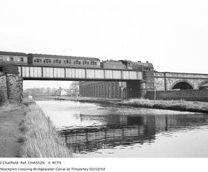 CHA5529