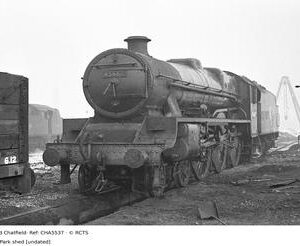 CHA5537