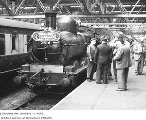 CHA5541