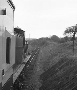 CHA5542