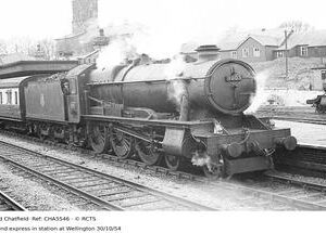 CHA5546