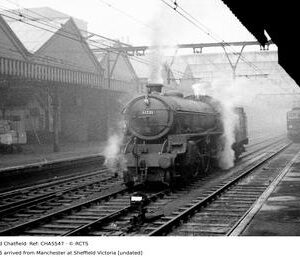 CHA5547