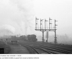CHA5548