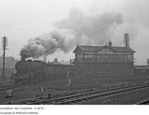 CHA5549