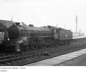 CHA5551
