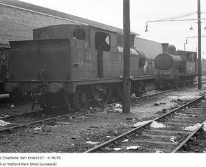 CHA5557