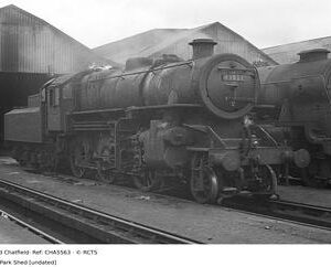 CHA5563