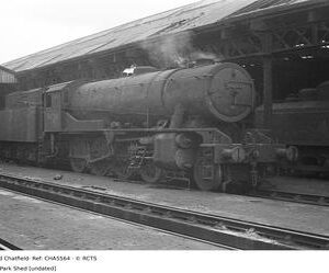CHA5564