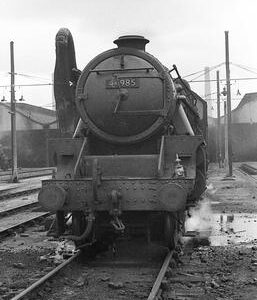 CHA5565