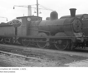 CHA5566