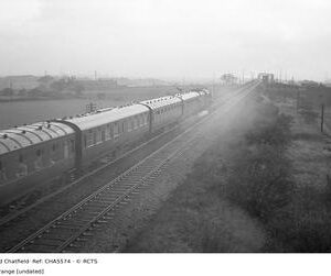 CHA5574