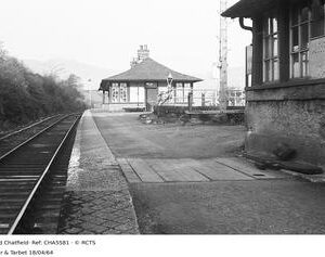 CHA5581