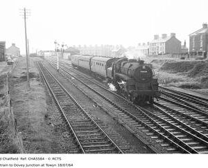 CHA5584