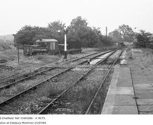 CHA5586