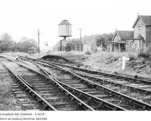 CHA5591