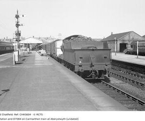 CHA5604