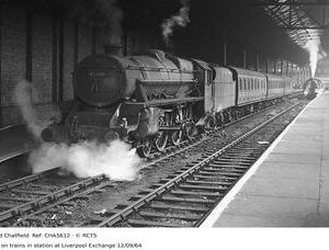CHA5612