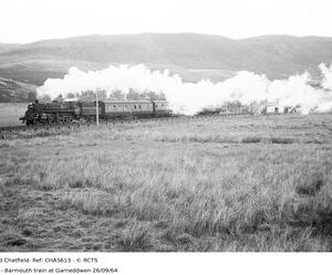 CHA5613