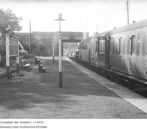 CHA5617