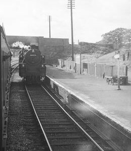 CHA5619
