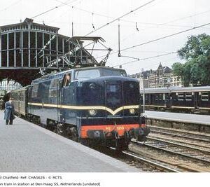CHA5626