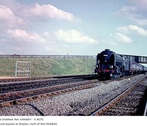CHA5647