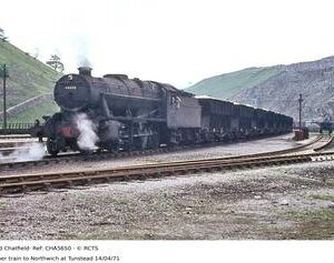 CHA5650