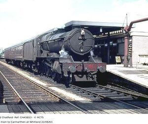 CHA5653