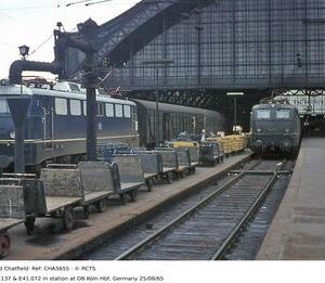 CHA5655