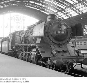 CHA6004