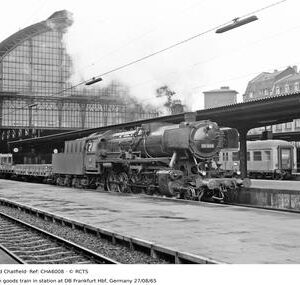CHA6008