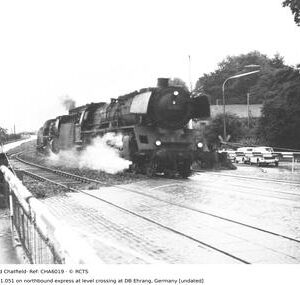 CHA6019