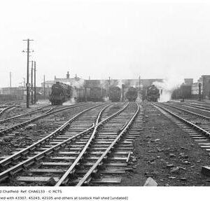 CHA6133