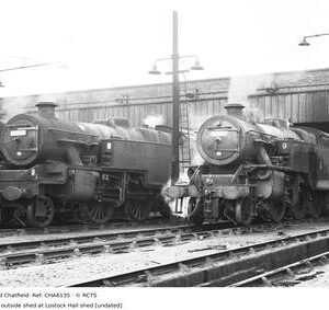 CHA6135