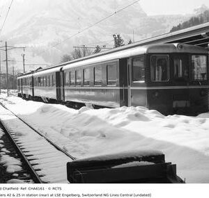 CHA6161