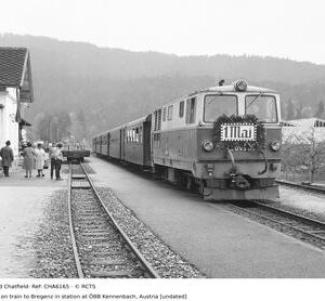 CHA6165