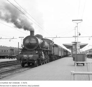 CHA6186