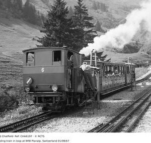 CHA6197