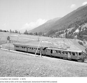 CHA6202
