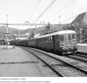 CHA6206