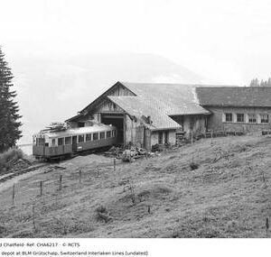 CHA6217
