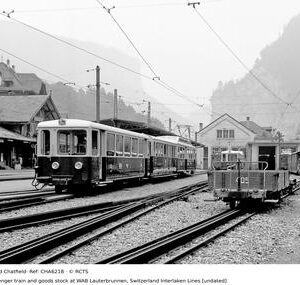 CHA6218