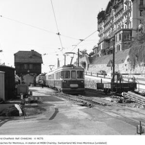 CHA6246