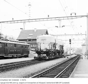 CHA6268