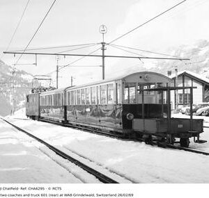 CHA6295